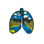 جیبیتز ریه 4212