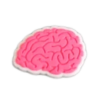 جیبیتز مغز 5015