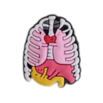 جیبیتز پزشکی اعضای بدن 5025